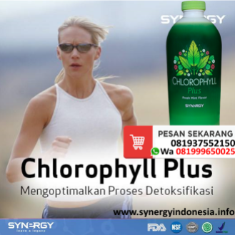 chlorophyll klorofil plus