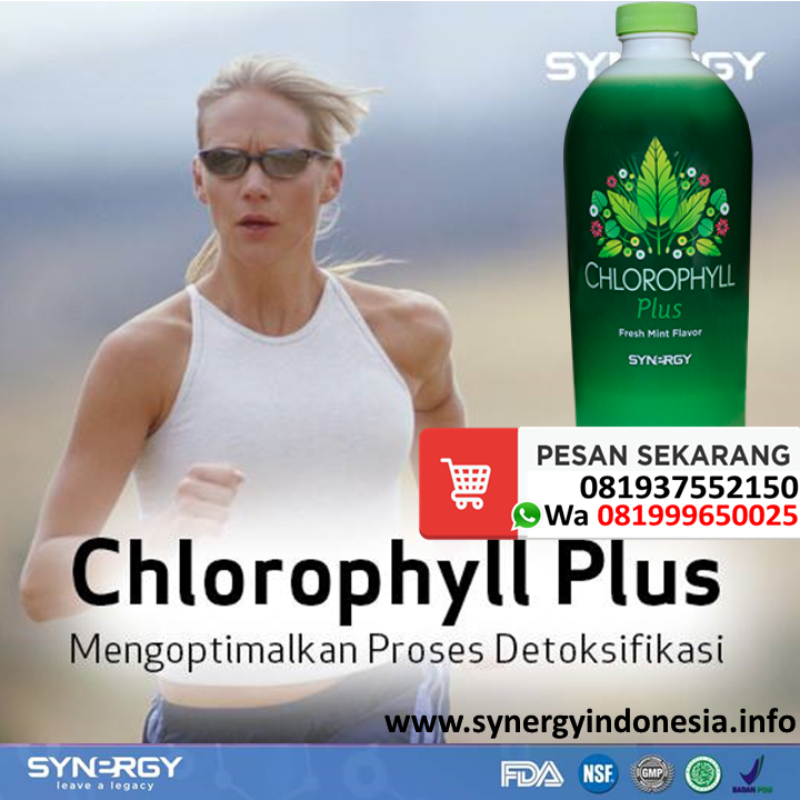 chlorophyll plus synergy