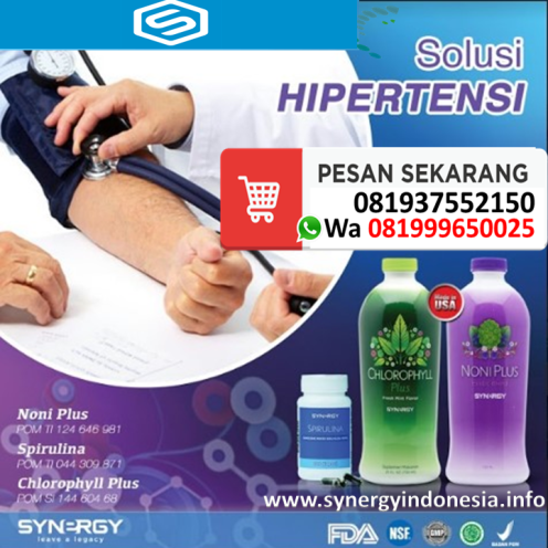 hipertensi synergy