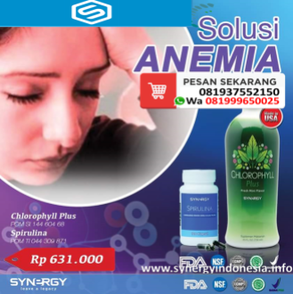 synergy anemia
